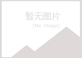 鸡西麻山女孩媒体有限公司